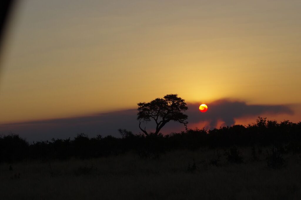 Sonnenuntergang in der Savanne