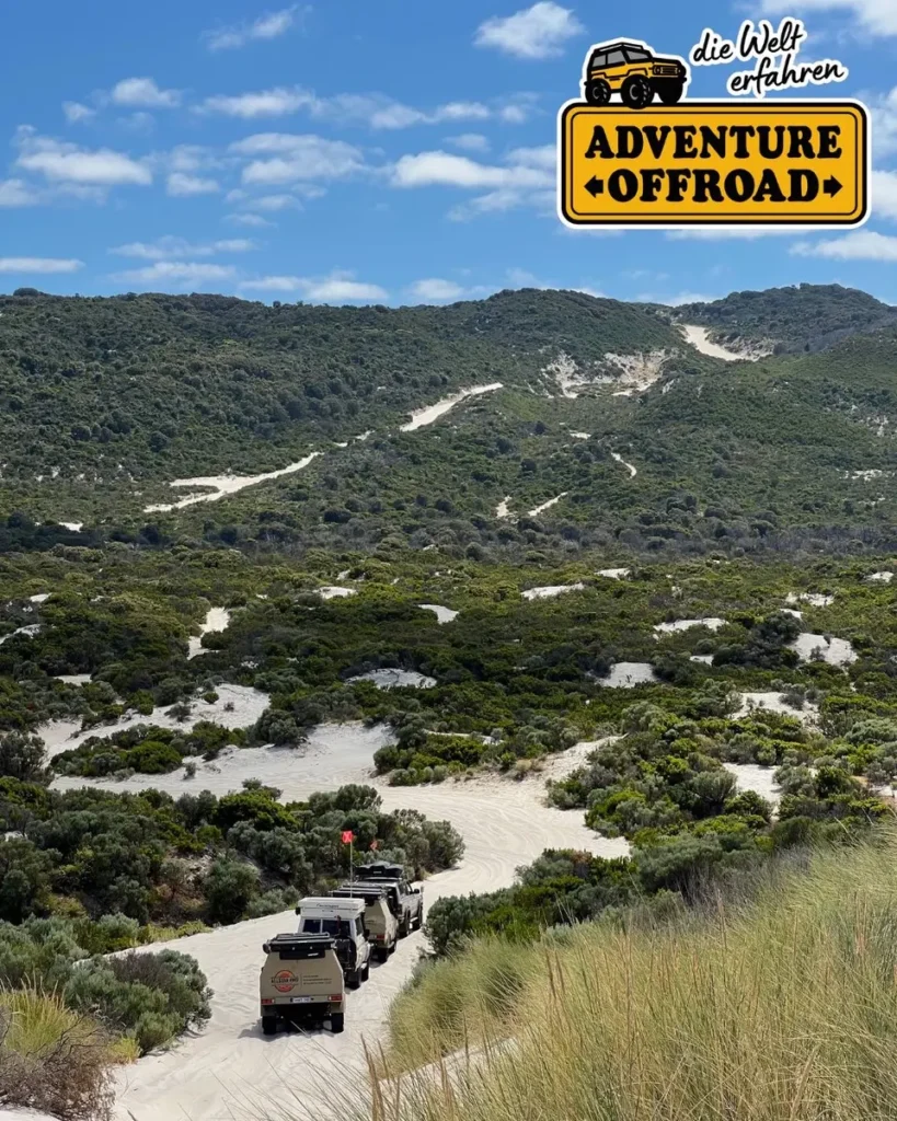 Kolonne von Expeditionsmobilen fährt auf sandiger Offroad-Piste durch bewachsene Küstendünen.