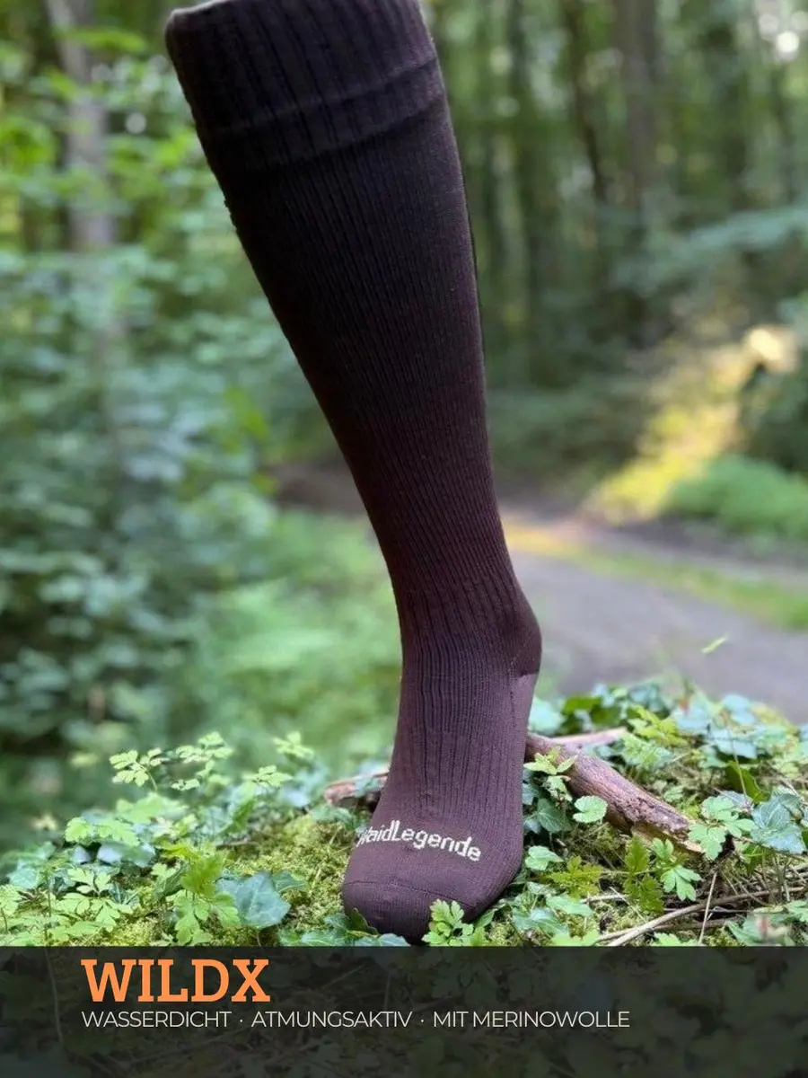 Dunkelbraune, gerippte Kniestrümpfe aus Merinowolle auf moosigem Waldboden.