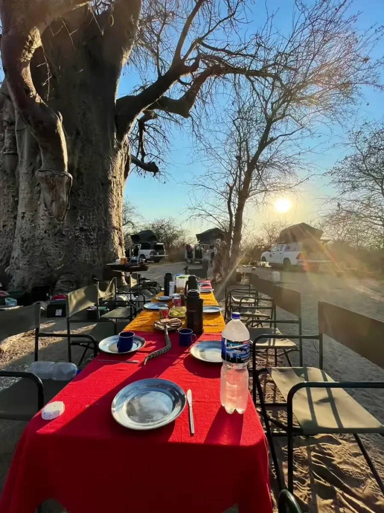 Gedeckter Campingtisch unter Baobab-Baum bei Sonnenuntergang, mit Fahrzeugen und Dachzelten im Overlanding-Camp.
